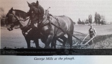 horse-drawn plough